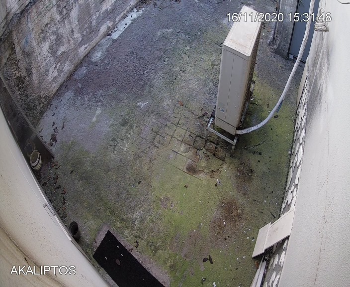 14 PHOTO 4